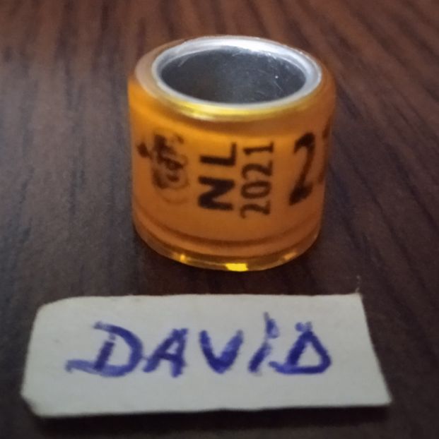 2021-Olanda - Olanda