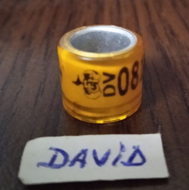 2019-Germania - Germania