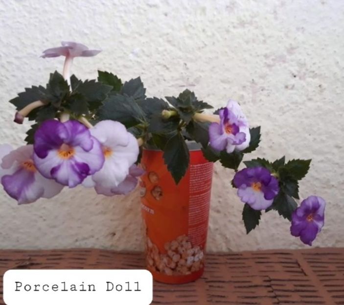 Porcelain Doll - Ceilalti