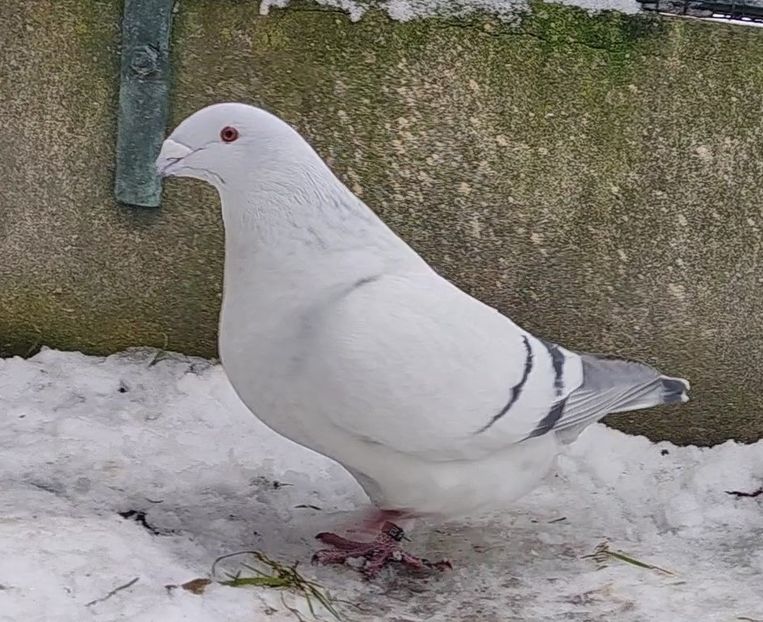 PL22-A2379 ARCHIWUM - i- MLODE -2022- Youth