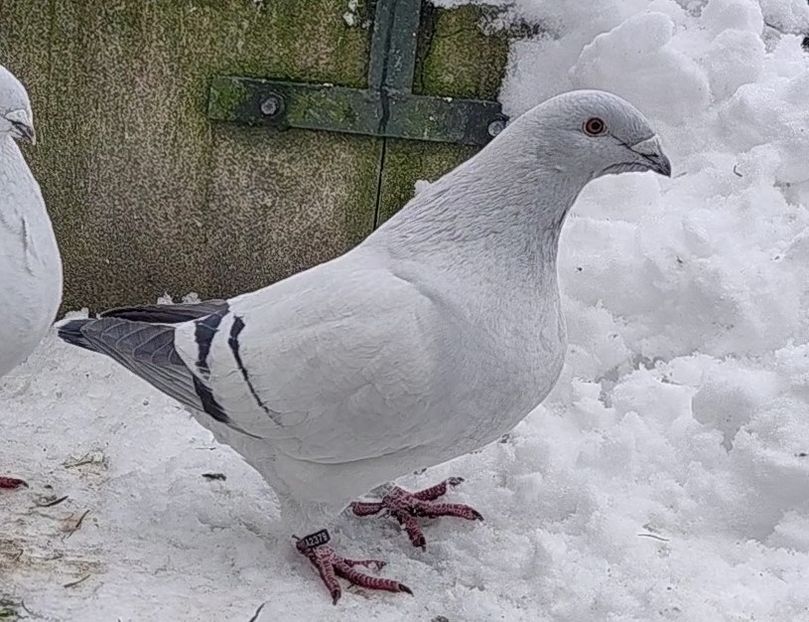 PL22-A2379 ARCHIWUM - i- MLODE -2022- Youth