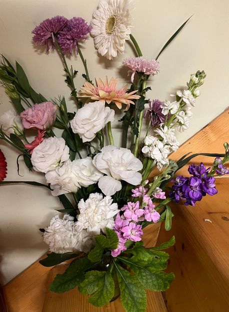 CD39924A-B9DE-434A-B1B4-C10705B8019C - Ianuarie -Februarie 2023