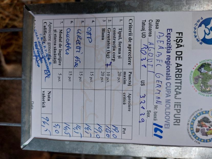  - Mascul 4 Agouti P P