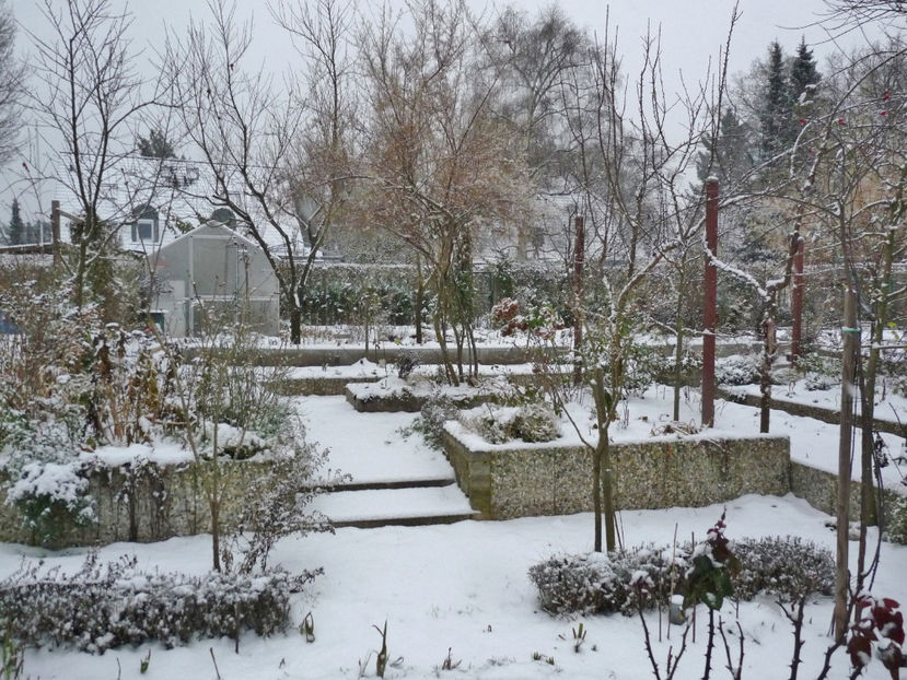  - 2022 - 04 - 2023 - 00 - Iarna