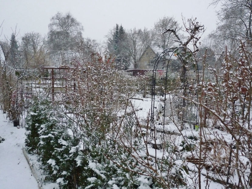  - 2022 - 04 - 2023 - 00 - Iarna