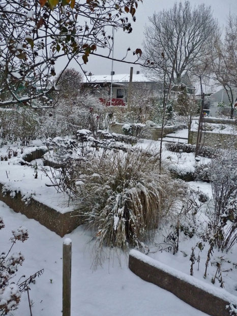  - 2022 - 04 - 2023 - 00 - Iarna