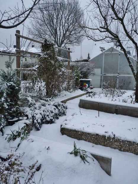  - 2022 - 04 - 2023 - 00 - Iarna