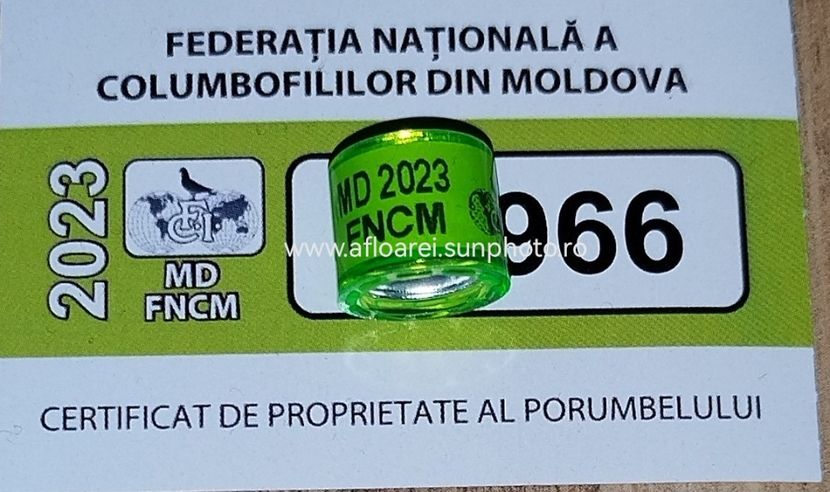 Md 2023 FNCM - MOLDOVA-MD