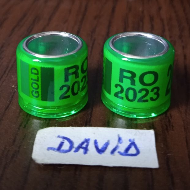 2023- Verde Gold....-1 leu - Inele 2014