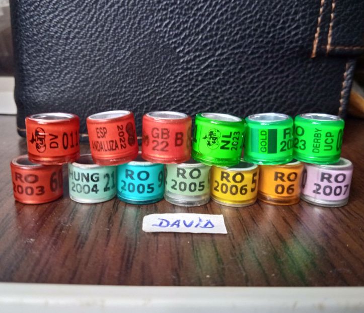 Colecție - 53 lei - Inele 2014