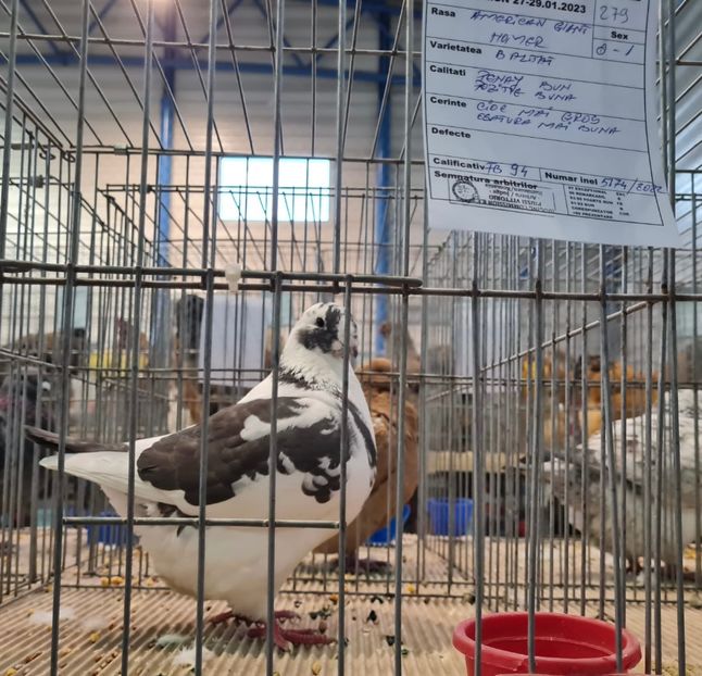 C488BA5A-CACD-4FB8-8987-887D33D649B4 - contact