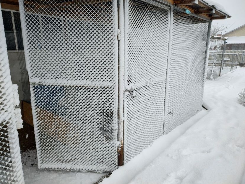 27.01.2023 - Poze voliera