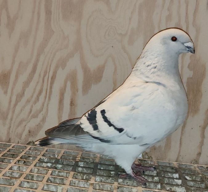 75 Archiwum - i- MLODE -2022- Youth