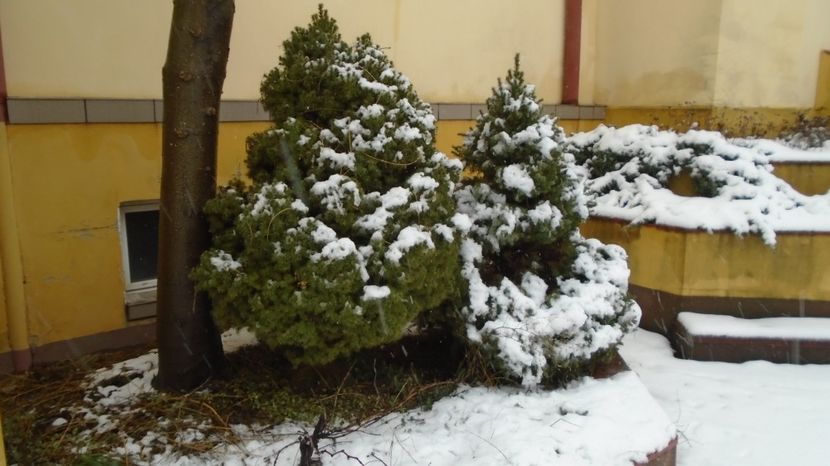 28 ianuarie 2023, prima zapada in Bucuresti! - v Iarna 2021-2022-2023