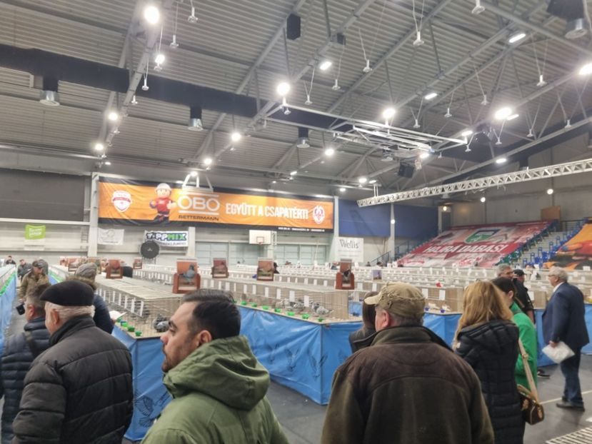  - EXPOZIȚIE HU DABAS 2023