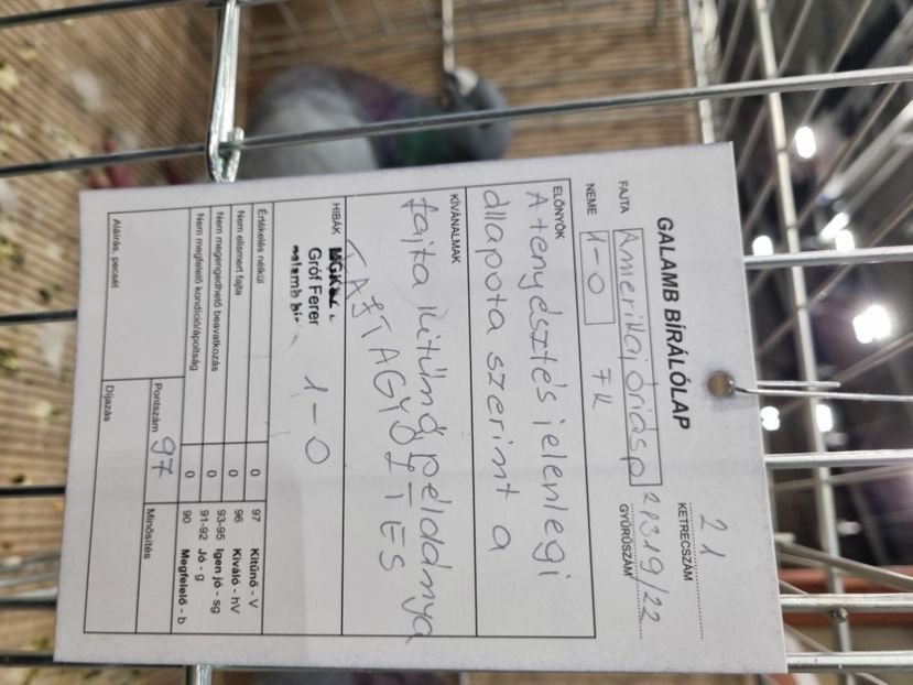  - EXPOZIȚIE HU DABAS 2023