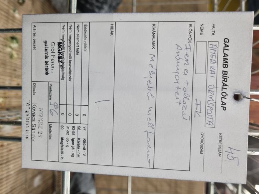  - EXPOZIȚIE HU DABAS 2023