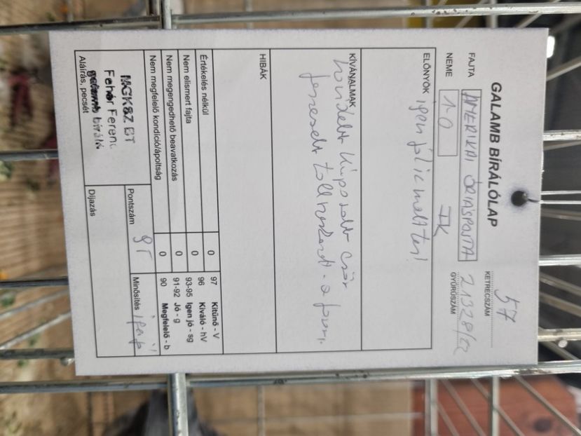  - EXPOZIȚIE HU DABAS 2023