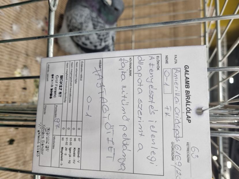  - EXPOZIȚIE HU DABAS 2023