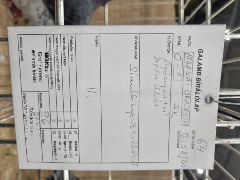  - EXPOZIȚIE HU DABAS 2023