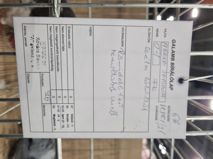  - EXPOZIȚIE HU DABAS 2023