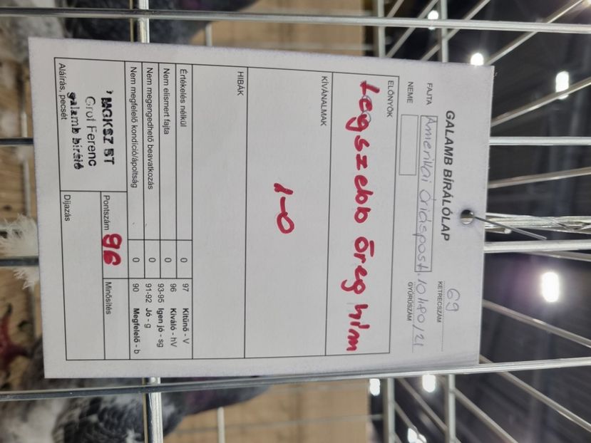  - EXPOZIȚIE HU DABAS 2023