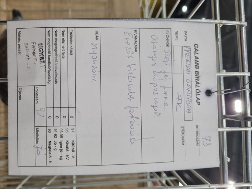  - EXPOZIȚIE HU DABAS 2023