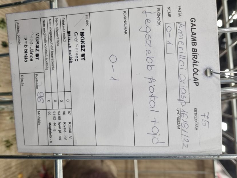  - EXPOZIȚIE HU DABAS 2023