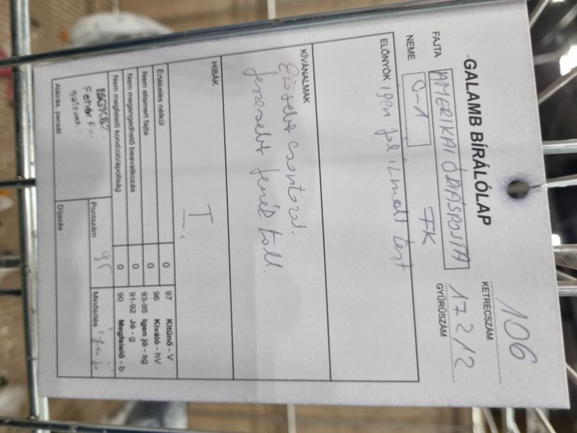  - EXPOZIȚIE HU DABAS 2023