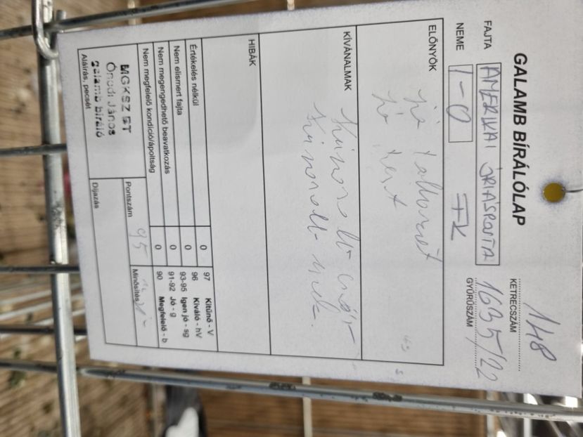  - EXPOZIȚIE HU DABAS 2023