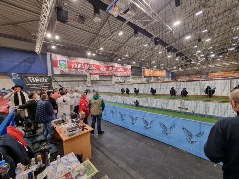 ARBITRAJ RASA KING - EXPOZIȚIE HU DABAS 2023