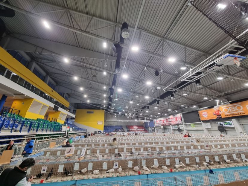 INTERIOR OBO ARENA DABAS - EXPOZIȚIE HU DABAS 2023