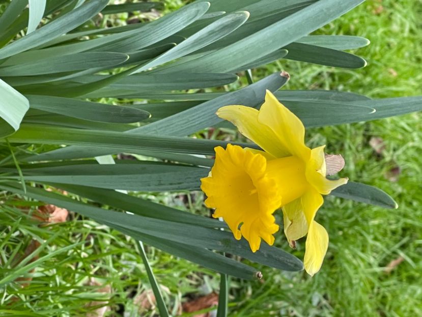 40607EE3-AF3B-4153-8459-639A5B3D4B23 - NARTIJI