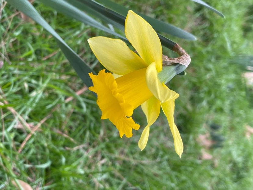 98EE0264-3FCA-4C50-A4EB-40D77D2ADD34 - NARTIJI