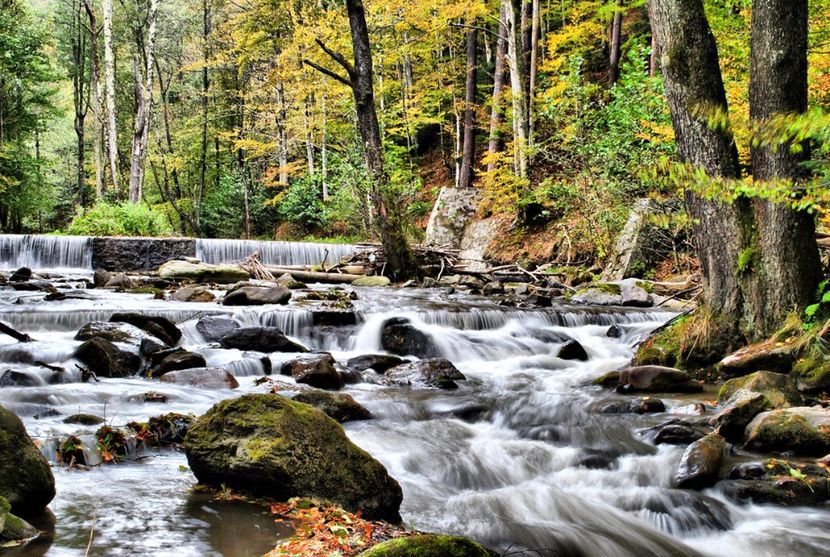  - - Natură și Aventură !
