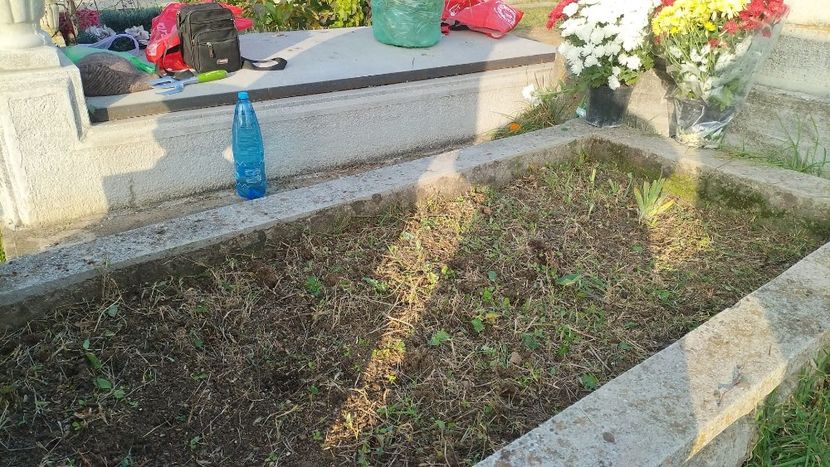 293eeb68-1ded-46a1-b20a-9f8828753b45 - 2022 1 nov MORMÂNTUL