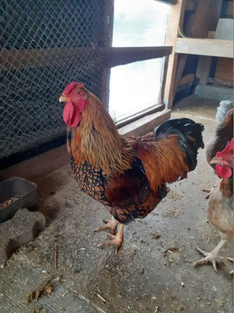 20230129_141224 (1) - WIANDOTTE 2022