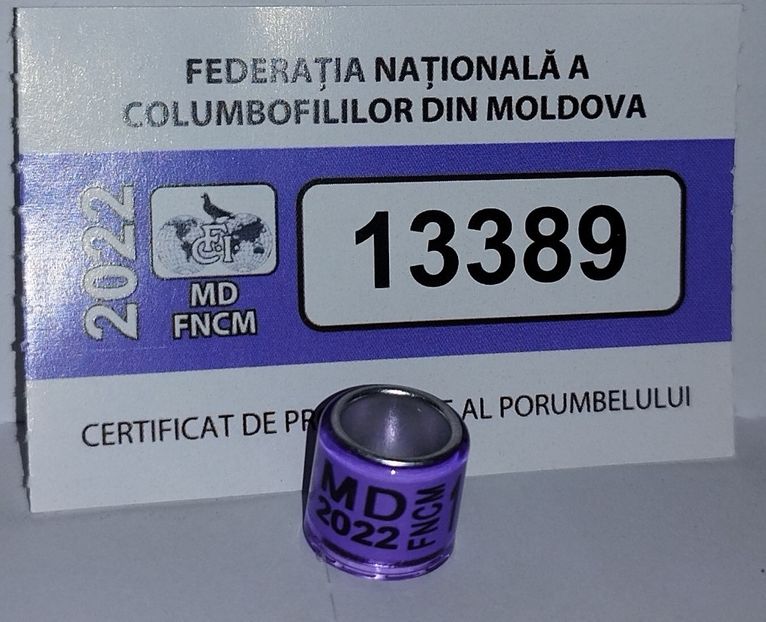  - MOLDOVA-MD