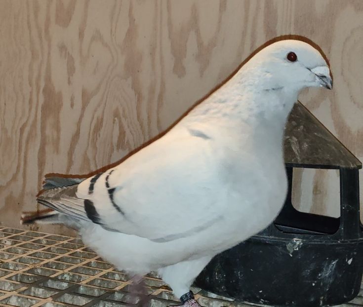 PL22-A2380 Archiwum - i- MLODE -2022- Youth