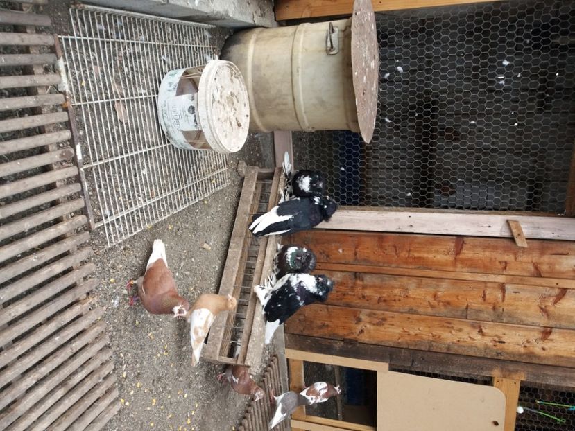  - L-Tobosari de Buhara