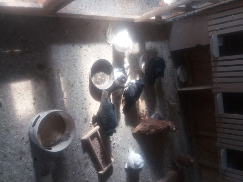 - L-Tobosari de Buhara