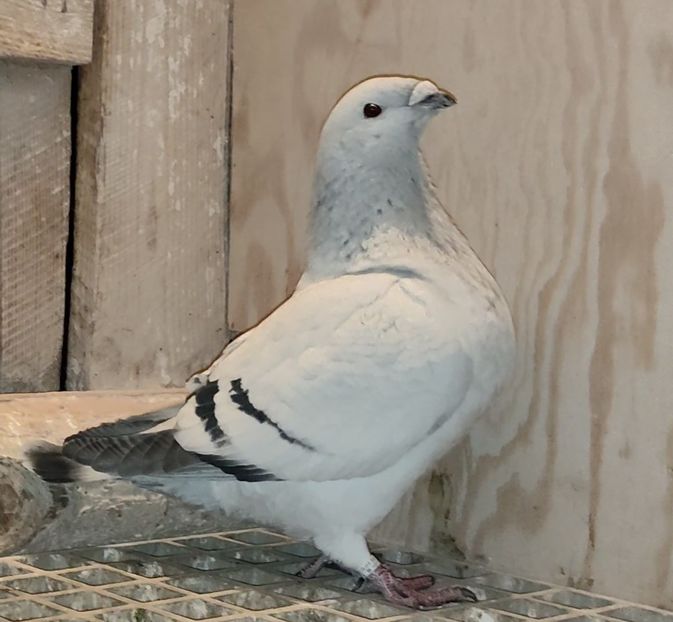 PL22-A2359 Archiwum - i- MLODE -2022- Youth