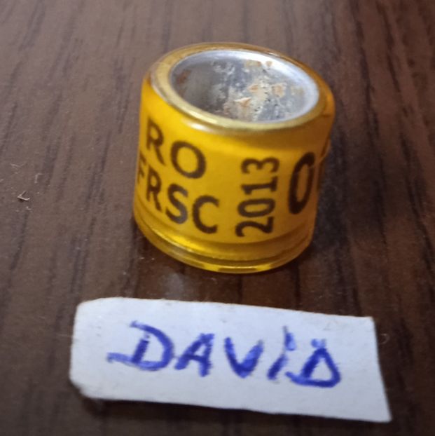2013-Romania - Romania
