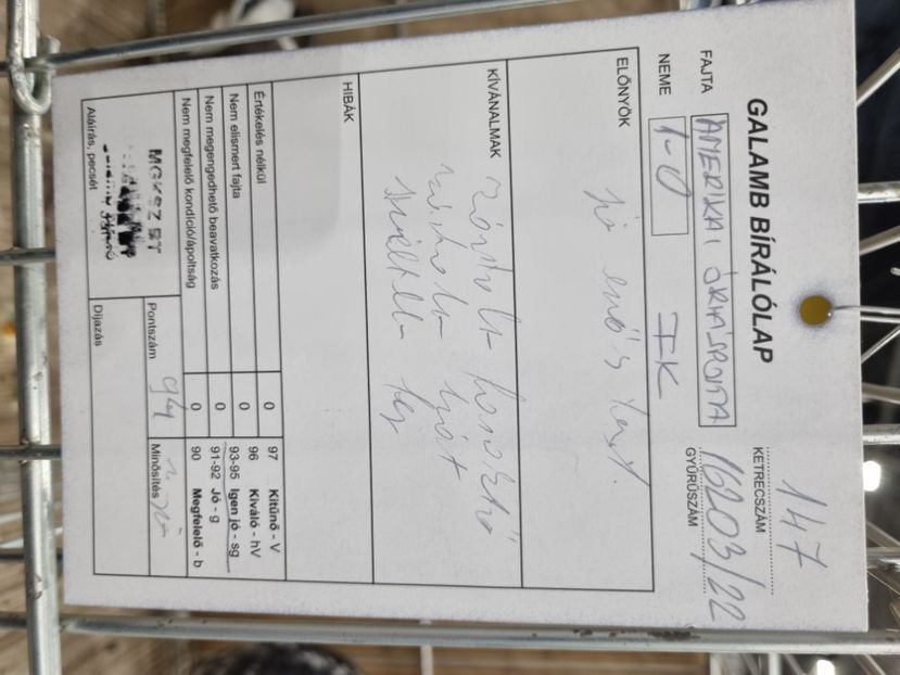  - EXPOZIȚIE HU DABAS 2023