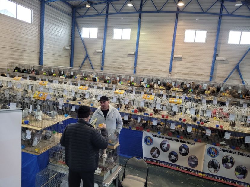  - 0- Expoziție Pantelimon 27-29 ian 2023