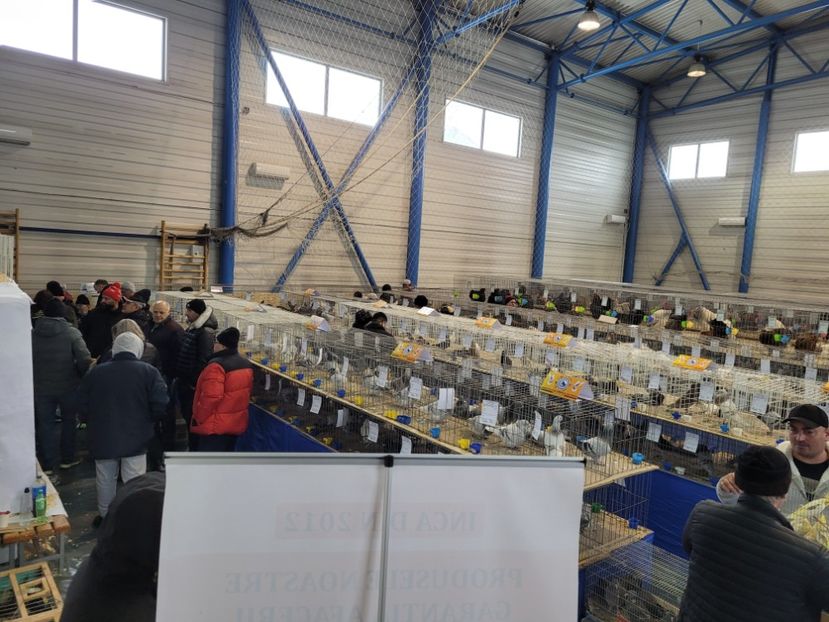  - 0- Expoziție Pantelimon 27-29 ian 2023