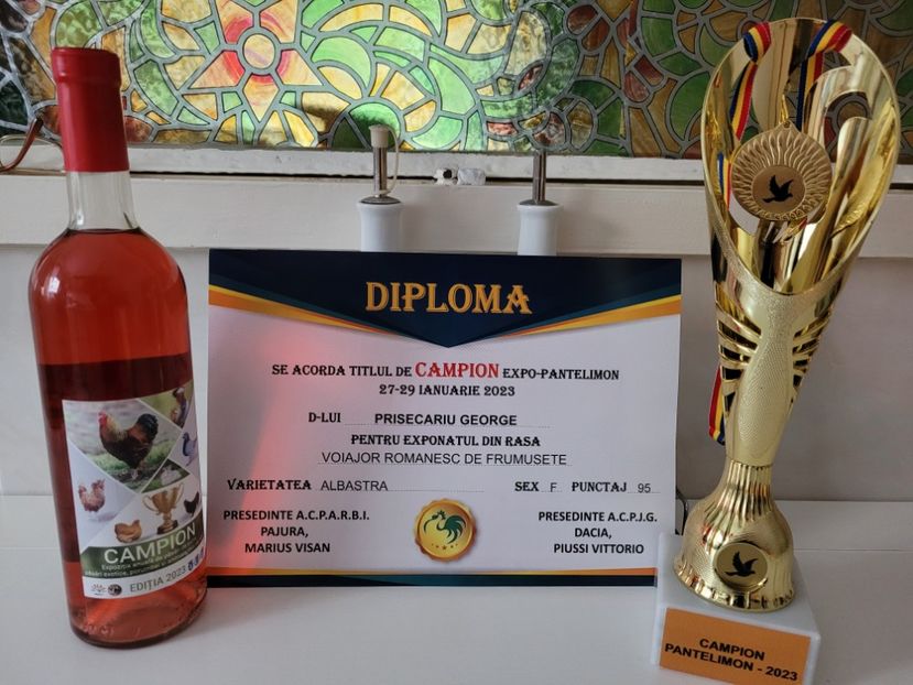  - 0- Expoziție Pantelimon 27-29 ian 2023