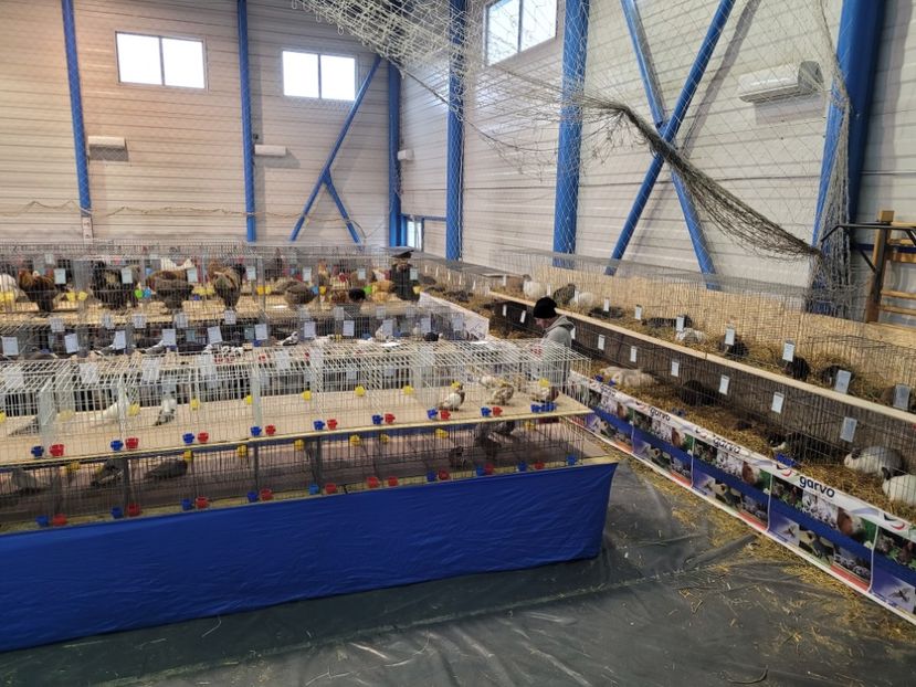  - 0- Expoziție Pantelimon 27-29 ian 2023