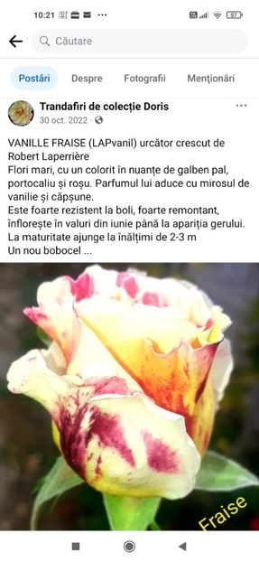 2023_01_07_10.21.39 - Vanilie Fraise