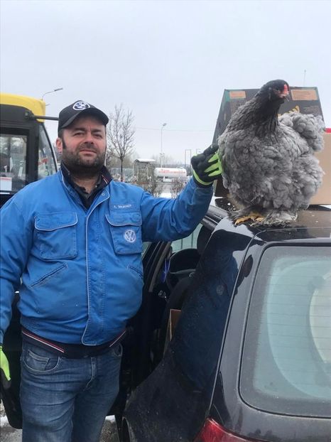 IMG-20230129-WA0007 - BRAHMA ALBASTRU 2023